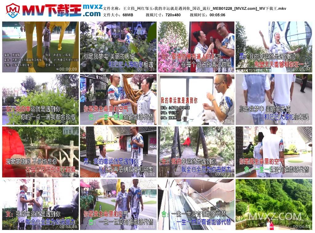 王立伟_网红邹玉-我的幸运就是遇到你_国语_流行_MEB01228